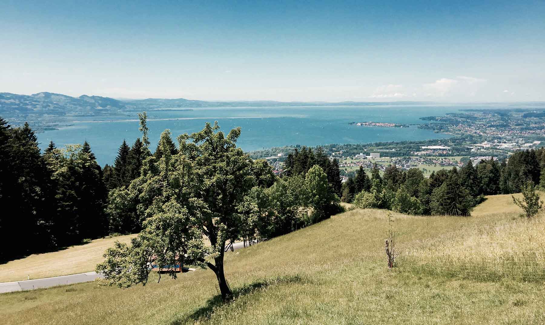 Blick von einer Bergwiese über Wälder hinunter auf den Bodensee mit Lindau